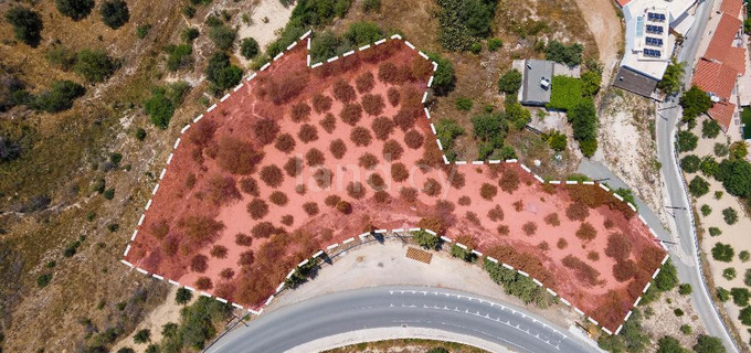 Residential field for sale in Paphos