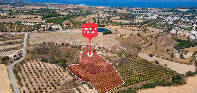 Сельскохозяйственное поле на продажу в Пафос