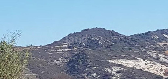 Terrain agricole à vendre à Limassol