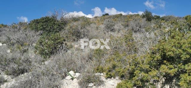 Plot for sale in Limassol
