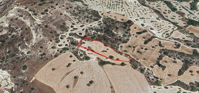 Terrain agricole à vendre à Limassol