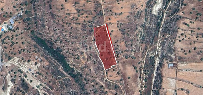 Jordbruksfält till salu i Limassol