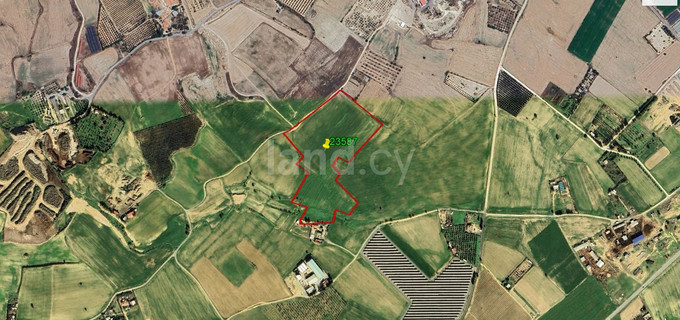 Agricultural field for sale in Larnaca