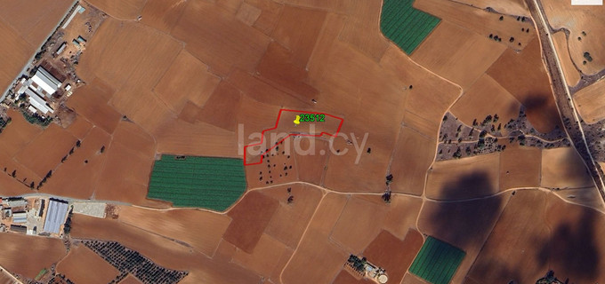 Agricultural field for sale in Achna
