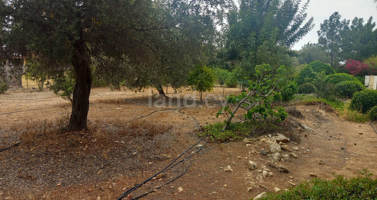 Residential field for sale in Paphos