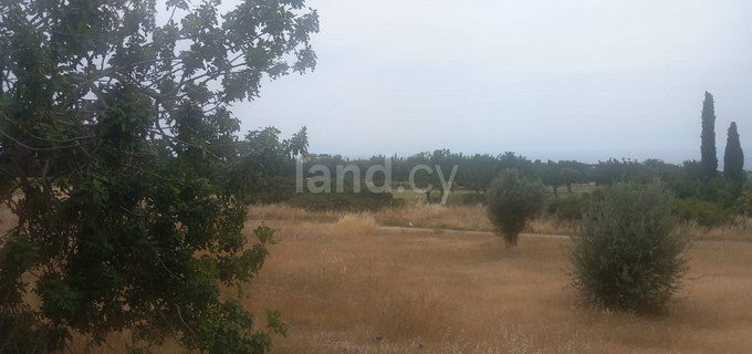 Terrain résidentiel à vendre à Paphos