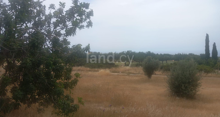 Residential field for sale in Paphos