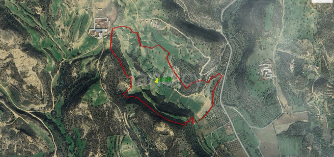 Agricultural field for sale in Larnaca