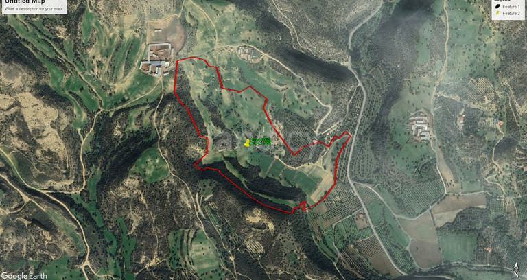 Agricultural field for sale in Larnaca