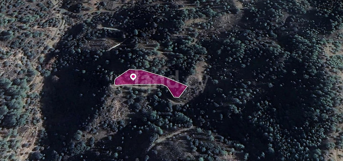 Αγροτεμάχιο προς πώληση - Λεμεσός