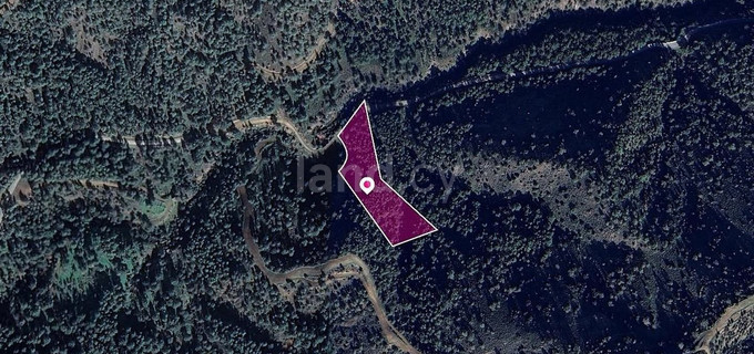 Field for sale in Nicosia