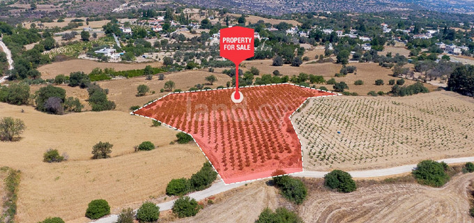 Сельскохозяйственное поле на продажу в Пафос