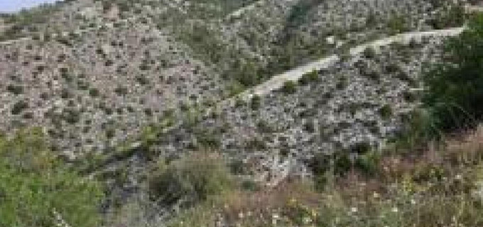 Landwirtschaftliches Baugebiet in Paphos zu verkaufen