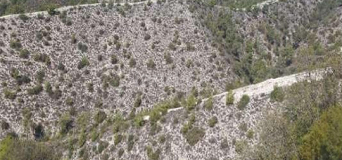 Agricultural field for sale in Paphos