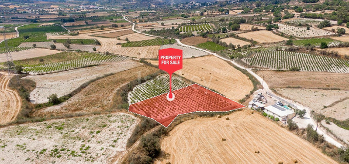 Campo agrícola a la venta en Paphos