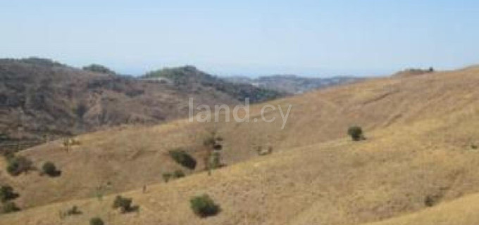 Campo agrícola a la venta en Paphos