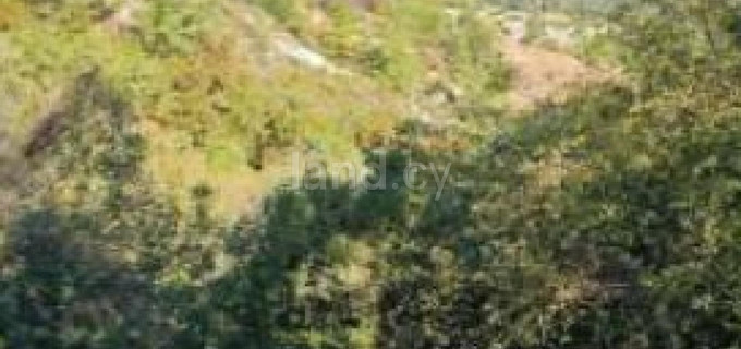 Campo residencial a la venta en Paphos