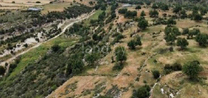 Jordbruksfält till salu i Limassol