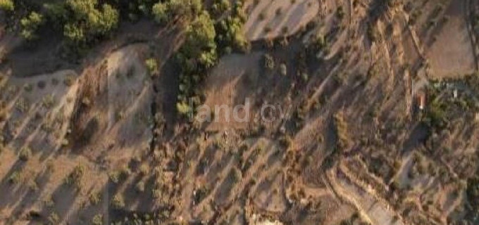 Agricultural field for sale in Nicosia