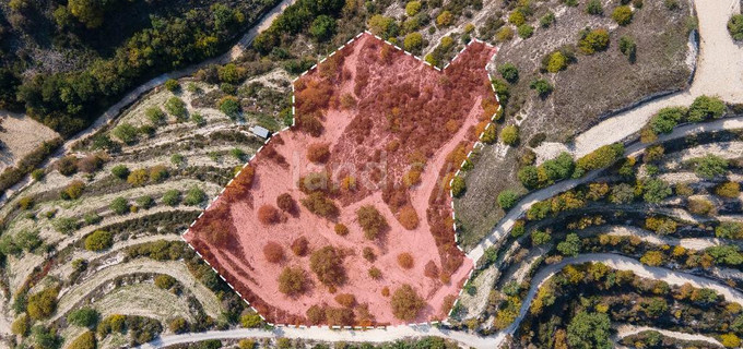 Campo residencial a la venta en Paphos