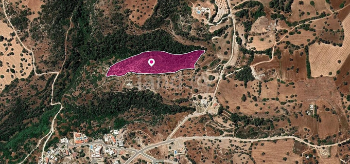 Field for sale in Paphos