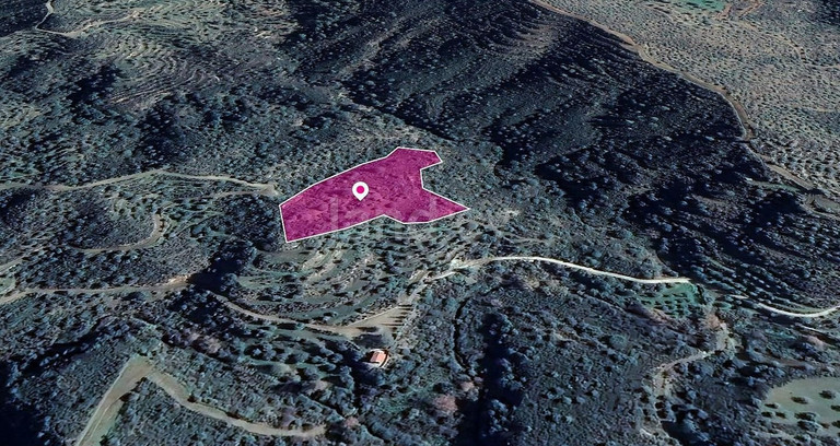 Αγροτεμάχιο προς πώληση - Λάρνακα