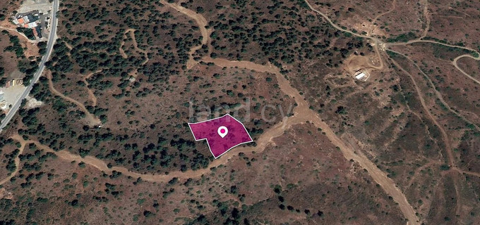Field for sale in Nicosia
