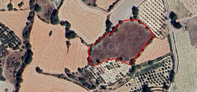 Αγροτικό αγροτεμάχιο προς πώληση - Πάφος