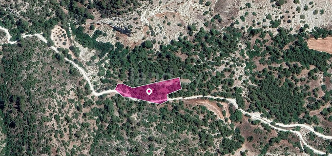 Αγροτεμάχιο προς πώληση - Πάφος