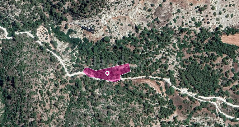 Αγροτεμάχιο προς πώληση - Πάφος