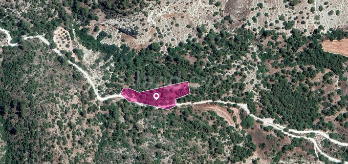 Field for sale in Paphos