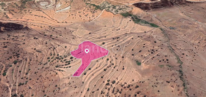 Campo a la venta en Paphos