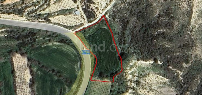 Jordbruksfält till salu i Paphos