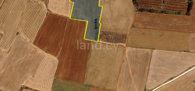 Terrain agricole à vendre à Frenaros