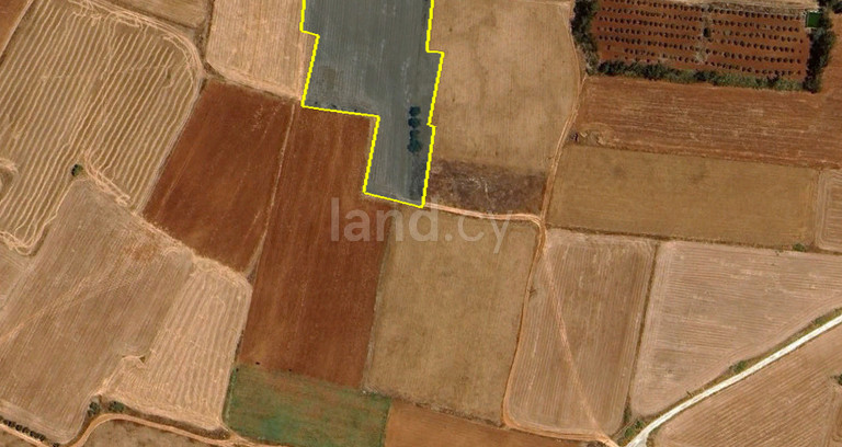 Pole rolne na sprzedaż w Frenaros