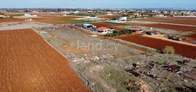 Jordbruksfält till salu i Larnaca