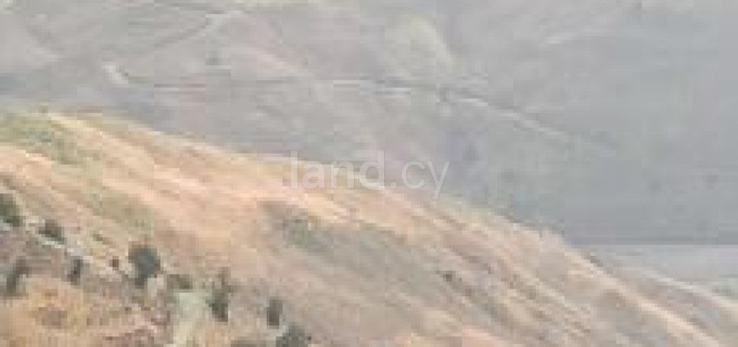 Agricultural field for sale in Paphos