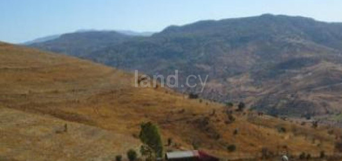 Agricultural field for sale in Paphos