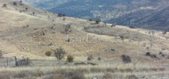 Agricultural field for sale in Paphos