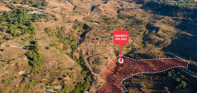 Agricultural field for sale in Paphos