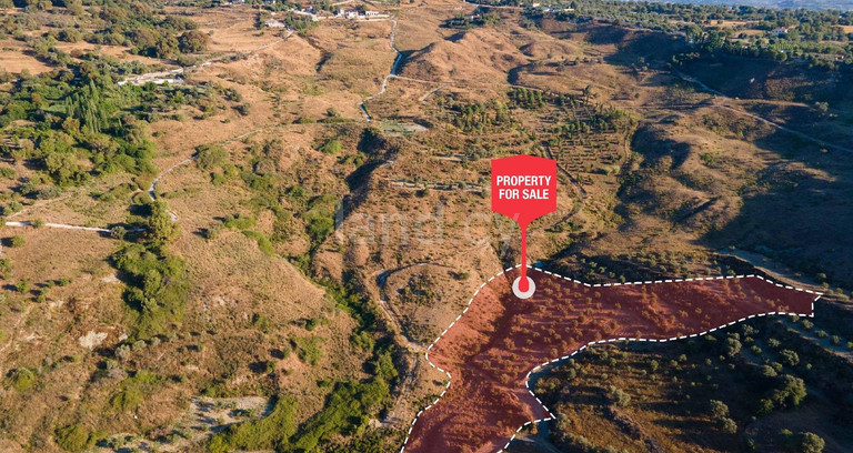 Jordbruksfält till salu i Paphos