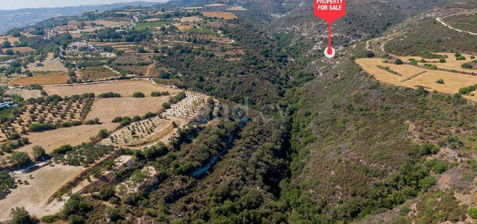 Campo agrícola a la venta en Paphos