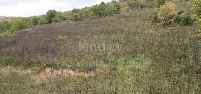 Campo residencial a la venta en Nicosia