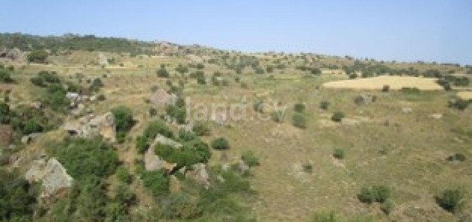 Campo agrícola a la venta en Paphos