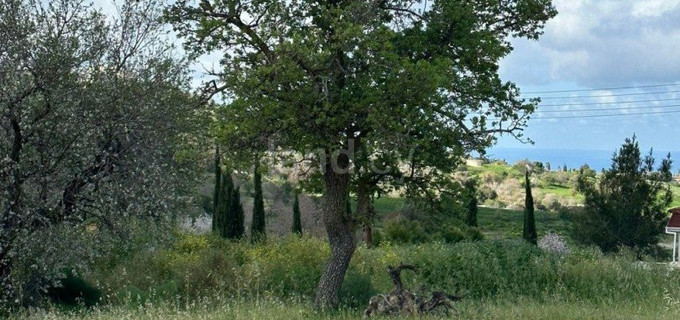 Жилой участок на продажу в Пафос