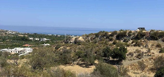 Поле на продажу в Лимассол