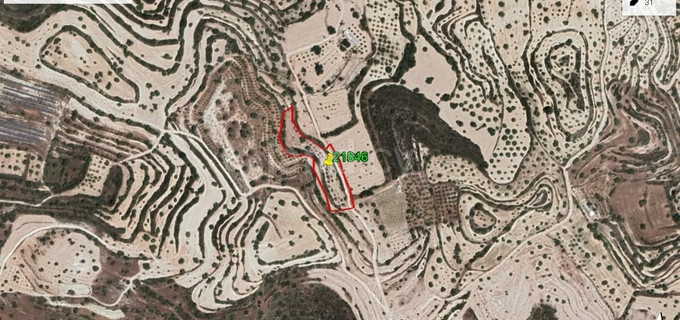 Agricultural field for sale in Limassol