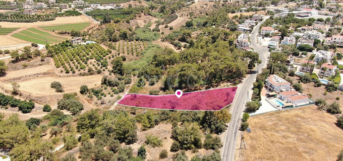 Field for sale in Paphos