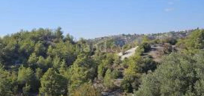 Agricultural field for sale in Paphos