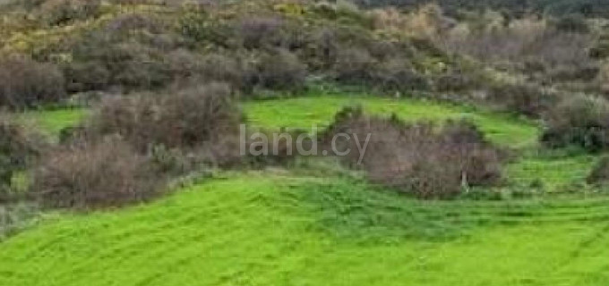 Landwirtschaftliches Baugebiet in Paphos zu verkaufen
